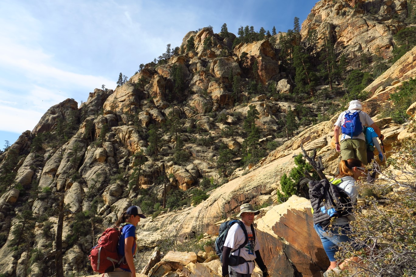 11-ponderosa_pine_tress_along_the_way