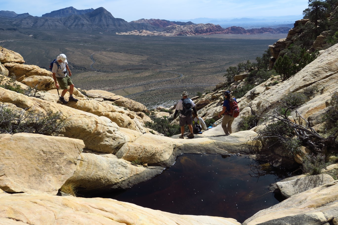 34-group_passing_by_a_watering_hole