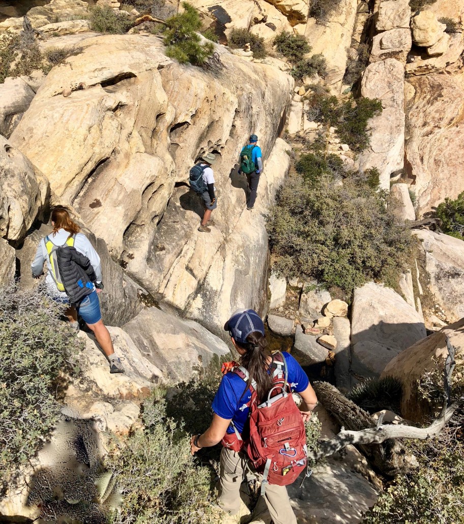38-group_scrambling-from_Laszlo