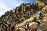 11-ponderosa_pine_tress_along_the_way