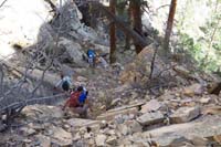31-scrambling_down_through_the_ponderosa_forest