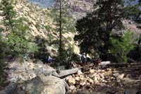32-scrambling_down_through_the_ponderosa_forest