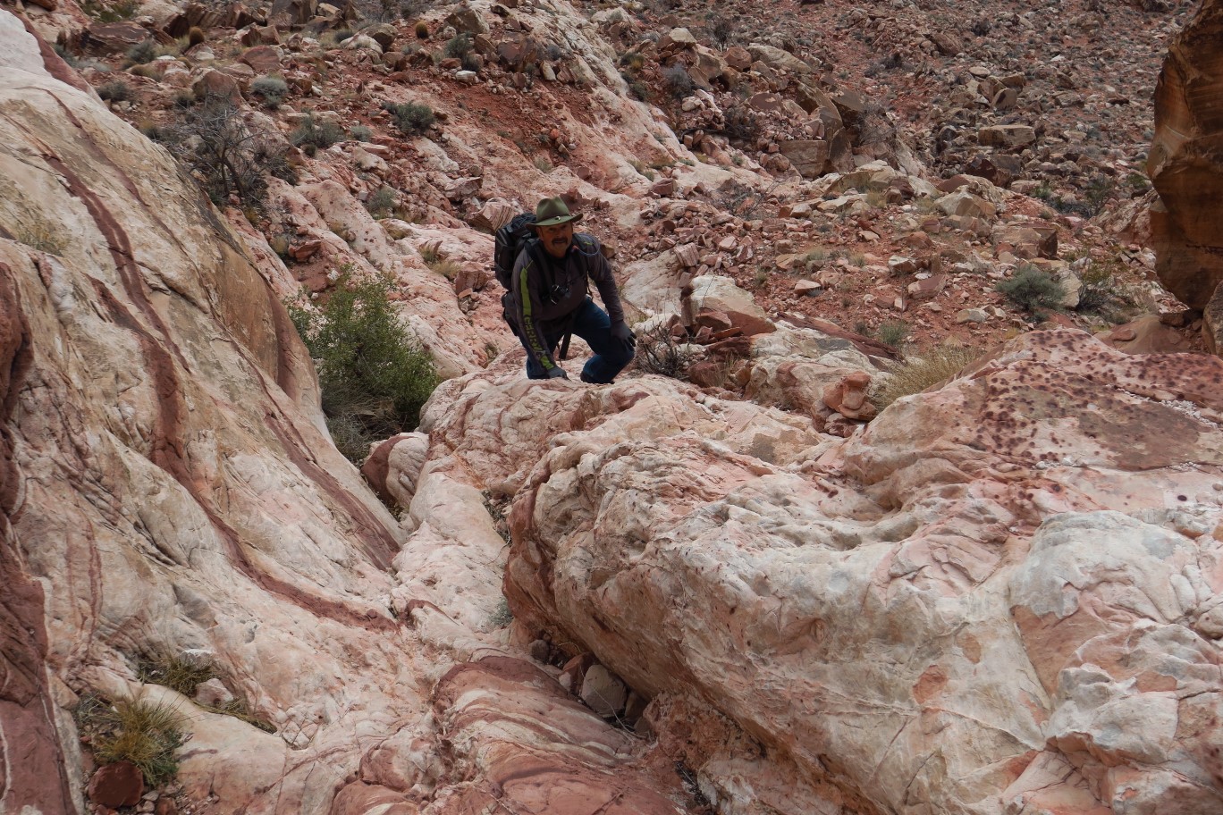 06-looking_back_to_John_scrambling