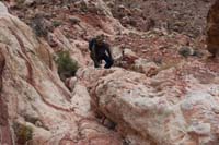 06-looking_back_to_John_scrambling
