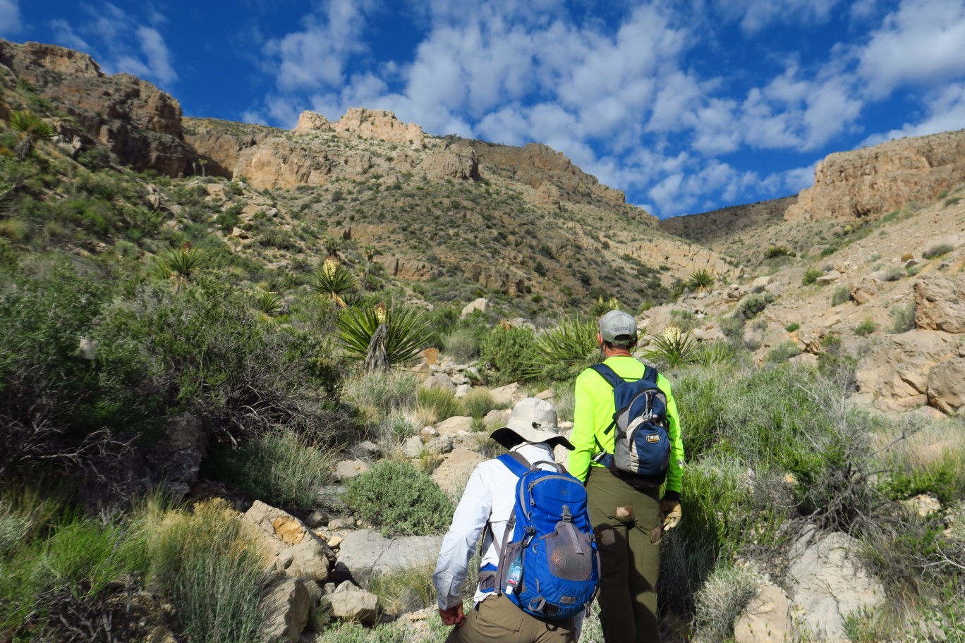 05-heading_up_the_lush_scenic_drainage