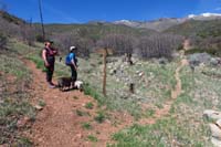 18-trail_junction_west-Daddy_goes_R_for_Schaefer_Spring_Loop,other_take_Lovell_Canyon_Loop_to_left