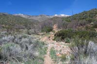 19-scenery_along_Schaefer_Spring_Loop_Trail_clockwise