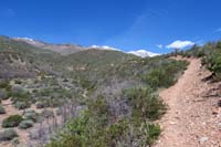 20-scenery_along_Schaefer_Spring_Loop_Trail