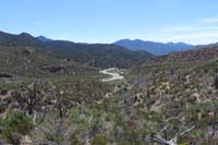 21-scenery_along_Schaefer_Spring_Loop_Trail-wash_to_other_loop_ahead