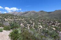 22-scenery_along_Schaefer_Spring_Loop_Trail