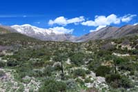 23-pretty_scenery-Griffith_Peak_is_3.8_miles_away