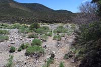 24-reached_the_washed_out_area,follow_cairns_and_usage_trail