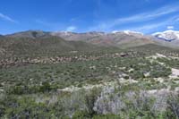 31-more_pretty_scenery