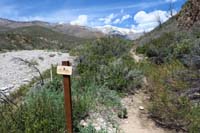 35-looking_back_to_trail