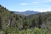 40-pretty_lush_forest_scenery_along_trail