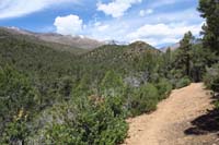 43-pretty_scenery_along_trail