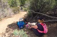44-1h_15m_later,Daddy_caught_up_to_everyone_resting_in_shade_at_first_trail_junction