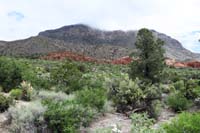32-pretty_scenery_along_hike_up_wash-Damsel_Peak_in_distance