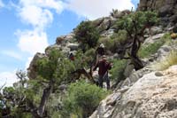 57-looking_back_scrambling_around_brush_and_down_rocks
