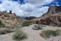 003-scenic_view_in_a_wash_with_Gottlieb_in_distance-clouds_and_cooler_temps_are_very_nice
