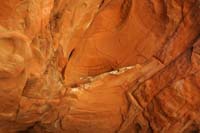 33-small_ledge_in_cave_used_by_animals