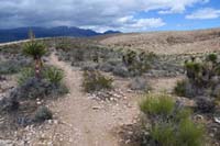 26-useless_trail_markers_at_junction,later_determine_SARS(R),Second_Finger(up)_south_junction