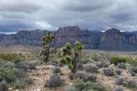 28-pretty_scenery_of_Wilson_Cliffs_to_the_west,then_continue_S_along_SARS_trail