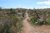 29-looking_S_to_SARS_trail_junction_with_First_Finger_trail_to_R