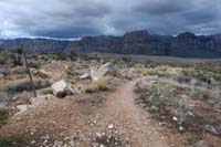 30-looking _W_to_Cat_in_the_Hat_trail_junction_with_SARS_trail_ending