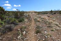 31-looking _N_to_SARS_trail_where_we_just_came_from
