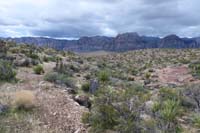 34-pretty_scenery_of_Wilson_Cliffs_to_the_west
