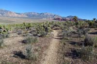 05-looking_back_to_pretty_scenic_views,too_bad_Scenic_Loop_closed_due_to_COVID_pandemic_shutdowns