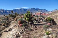 75-scenic_view_along_Rock_Garden_Trail