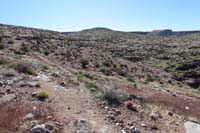 025-scenery_along_the_trail