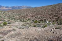 030-looking_back_to_SARS_ahead,no_real_evidence_of_Back_Bowl_Trail_to_E