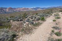 027-looking_back_to_trail_junction_of_Bomb_Voyage_Alternate_Trail_and_Blue_Diamond_Hill_Trail