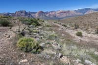 042-another_cairn,still_difficult_to_identify_the_Litterbox_trail