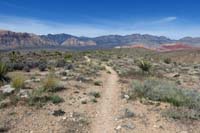 046-scenic_view_along_Bone_Shaker_Trail