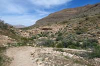 051-scenery_along_connector_trail_through_wash