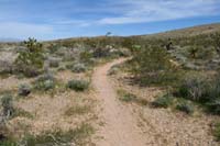 071-trail_exits_the_wash_to_flat_land