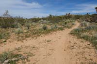 072-trail_junction_for_Tunneling_into_Red_Rock_to_L,continue_to_R_up_Brokeback_Mountain