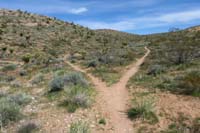075-trail_junction-The_Bronc_to_R_to_check_out_another_day,wentwent_L_continuing_along_Brokeback_Mountain