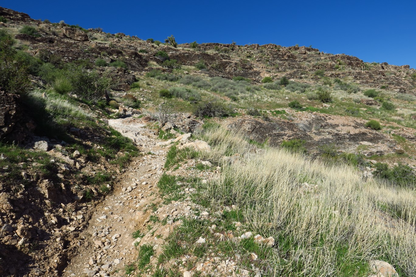 03-continuing_up_the_ridge