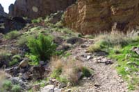 12-trail_is_steep-leads_to_various_caves-minor_scrambling_to_continue_trail