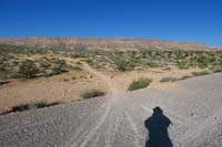003-Bears_Best_loop_trail_access