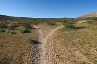 017-trail_splits,Bears_Best_to_left,Gnarley_to_right