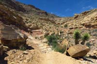 082-looking_back_to_scenery_along_the_trail
