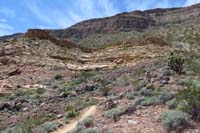 085-scenery_along_the_trail