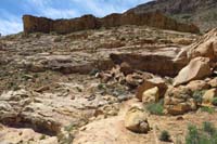 092-scenery_along_the_trail