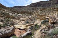 094-scenery_along_the_trail